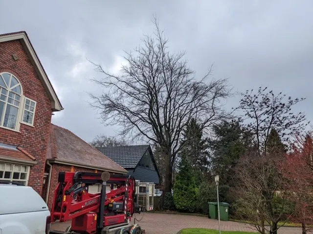 Tracked cherry picker set up for tree work County Tree Services