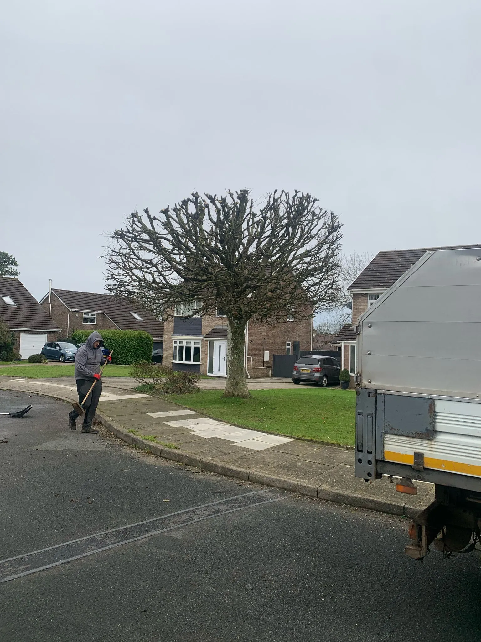 Tree after crown reduction in Barry County Tree Services