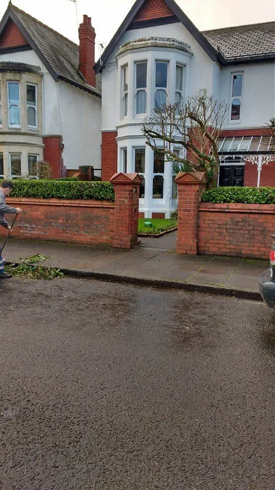 Low hedge trimmed above a brick front wall County Tree Services