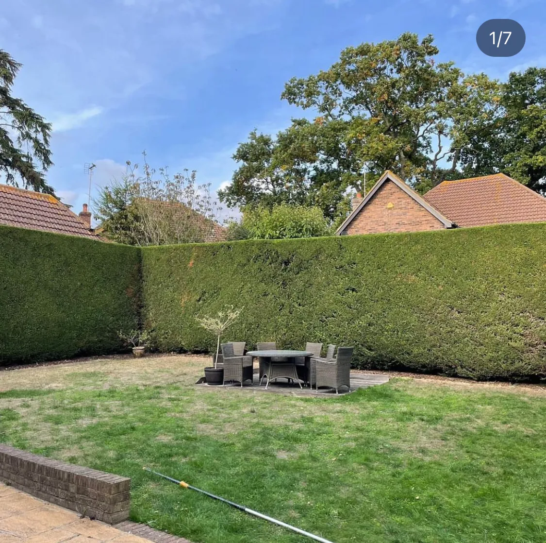 Hedge trimming in Dinas Powys County Tree Services