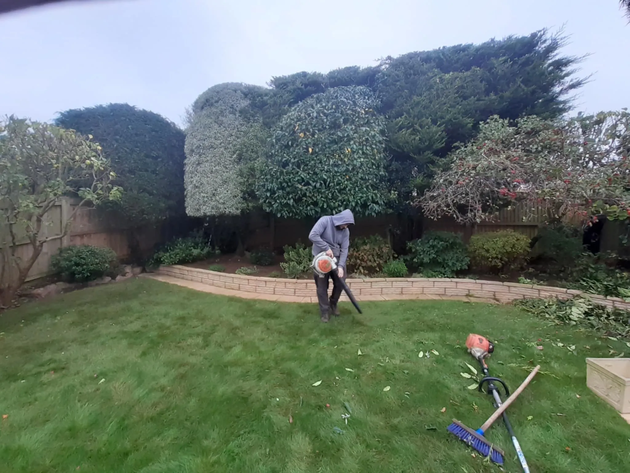 Hedge trimming in Cardiff County Tree Services