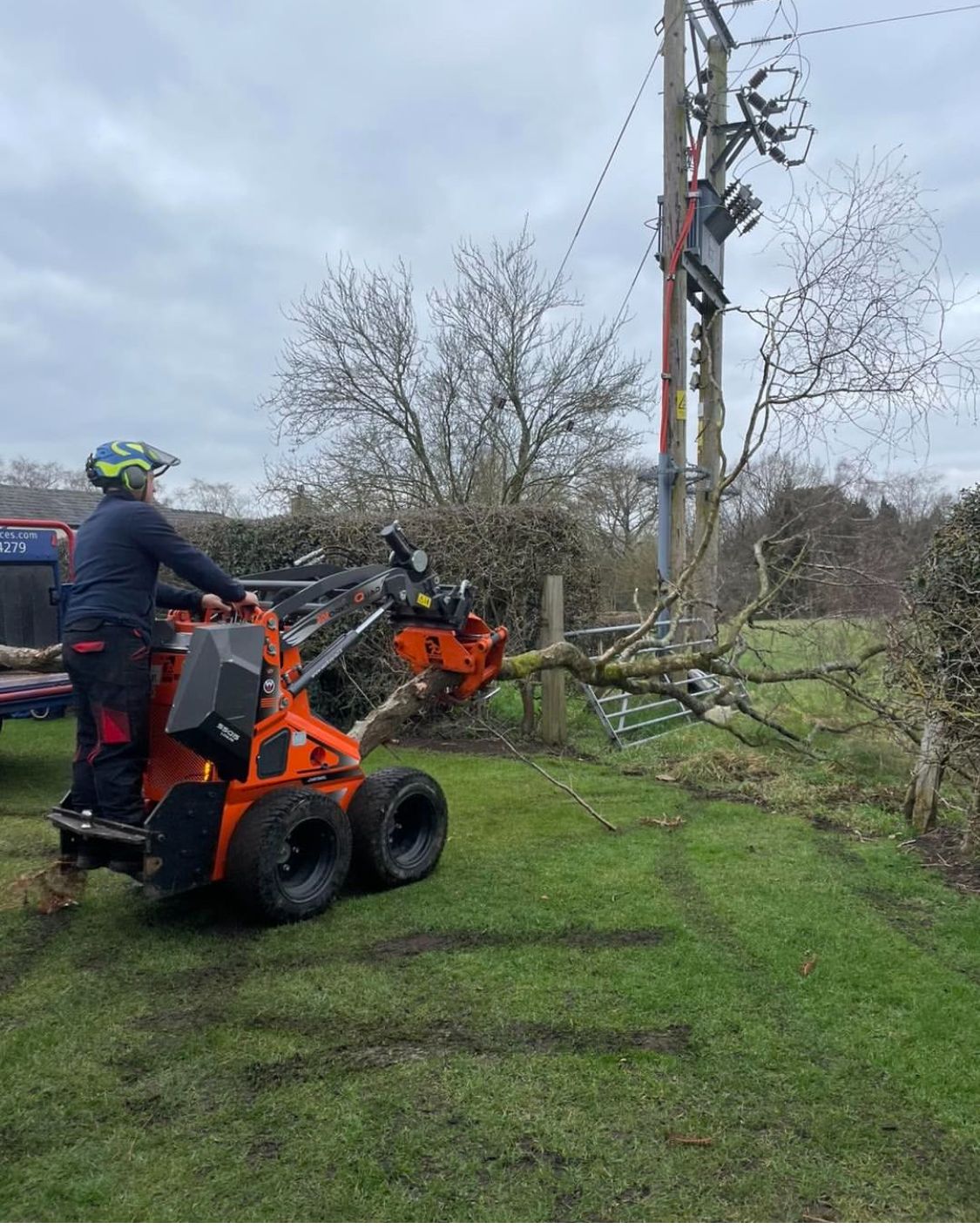 Stump and tree removal in Barry County Tree Services