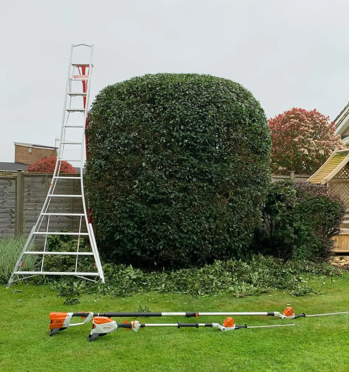 Neatly shaped topiary hedge County Tree Services Vale of Glamorgan